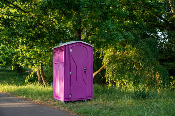 Best Portable bathroom rental  in Genoa, IL